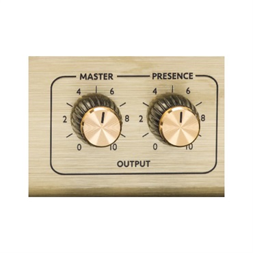 Marshall 【WEB限定在庫処分セール】Origin50C（アンプ コンボ マーシャル） 画像6