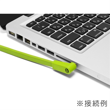Oyaide d+MYTS classB【1.5m】 (3.5mini stereo to TSphone(x2) Yケーブル) 画像3