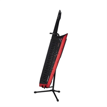 Roland ST-AX2 画像1