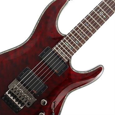 SCHECTER C-1 FR Hellraiser [AD-C-1-FR-HR] (BCH) 画像3