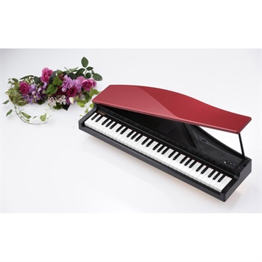 KORG 【夏のボーナスセール】microPIANO RD レッド【贈り物にも最適♪】 画像2