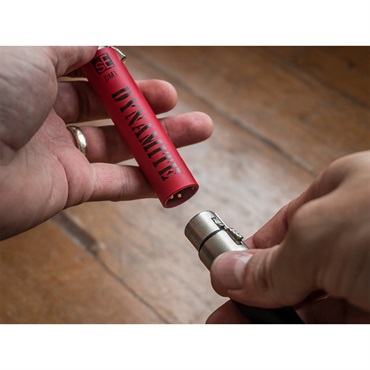 sE Electronics 【sE数量限定プロモ！】DM1 DYNAMITE(パッシブマイク用+28dBプリアンプ)(エスイーエレクトロニクス) 画像3