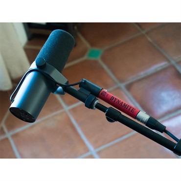 sE Electronics 【sE数量限定プロモ！】DM1 DYNAMITE(パッシブマイク用+28dBプリアンプ)(エスイーエレクトロニクス) 画像5