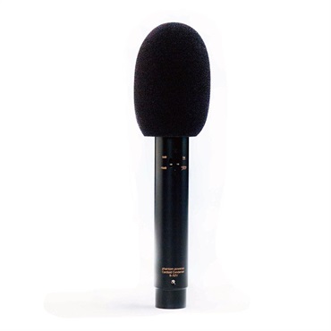 AUDIX ADX51 画像3