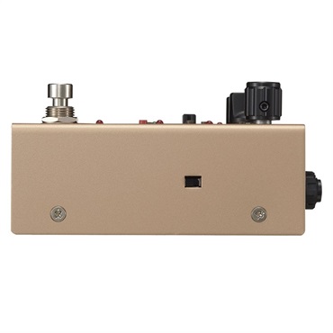 Free The Tone FUTURE FACTORY FF-1Y [RF PHASE MODULATION DELAY]（フリーザトーン）ディレイ 画像3