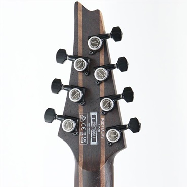 Ibanez Axion Label RGD71ALMS-BAM (Black Aurora Burst Matte) 画像8