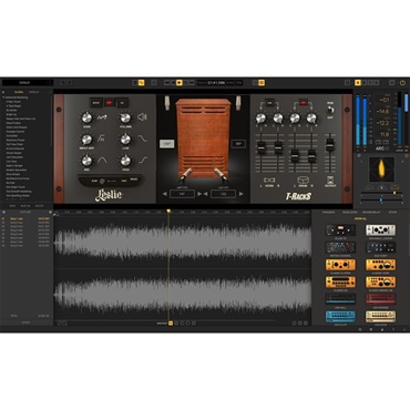 IK Multimedia T-RackS Leslie (代引不可)(オンライン納品) 画像1