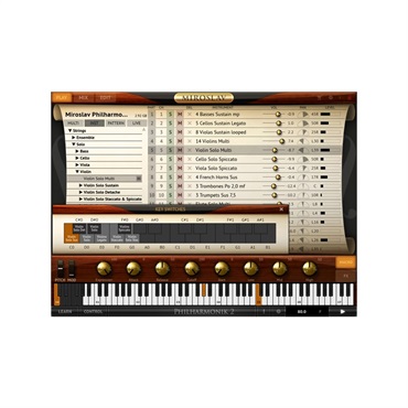 IK Multimedia Miroslav Philharmonik 2 (代引不可)(オンライン納品) 画像2