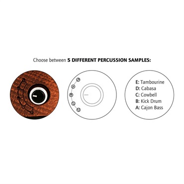 ORTEGA HORSE KICK PRO [Digital Stomp Box]【お取り寄せ品】 画像3