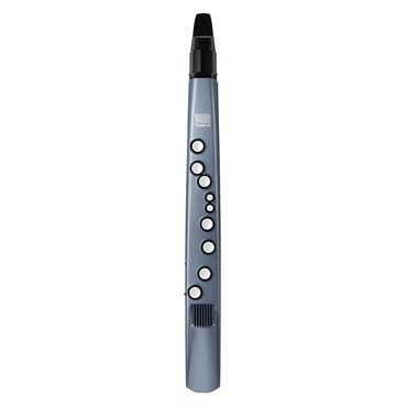 Roland Aerophone mini AE-01【入門セット】(スタンド付き) 画像2