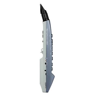 Roland Aerophone mini AE-01【入門セット】(スタンド付き) 画像3