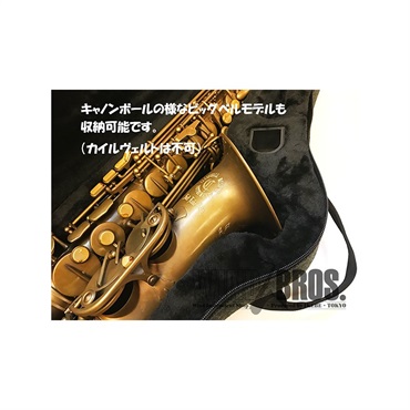 Beaumont 【お取り寄せ品】ボーモント アルトサックス用セミハードケース キャンディ・バンド 画像3