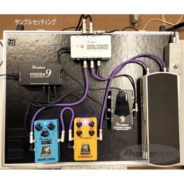 Providence DVI-1M [DUAL VITALIZED ROUTING] 画像5
