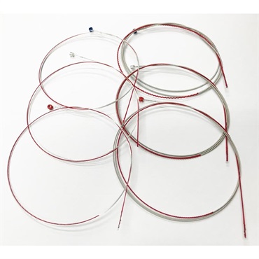ROTO SOUND RED LION (ROT-RL9/Super Light) 画像1