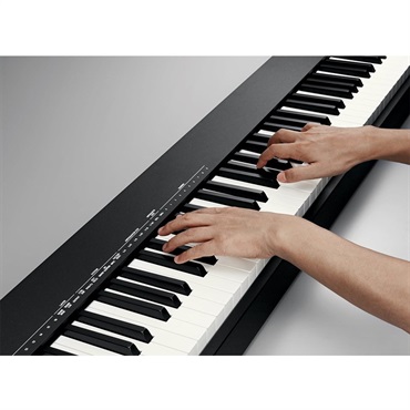 Roland A-88MK2（MIDI KEYBOARD CONTROLLER 画像5