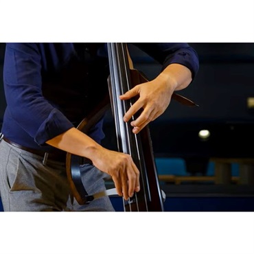YAMAHA SLB300 [SILENT Bass] 画像6