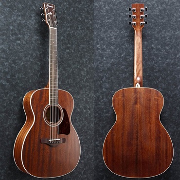 Ibanez 【夏のボーナスセール】【廃盤特価】AC340-OPN 画像1