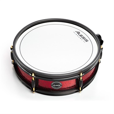 ALESIS STRIKE PRO SPECIAL EDITION 画像10