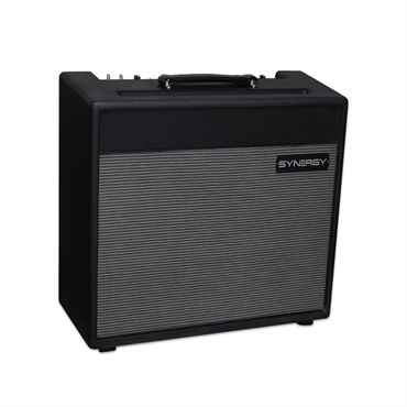 SYNERGY SYN30C - 30 WATTS COMBO（シナジー） 画像1