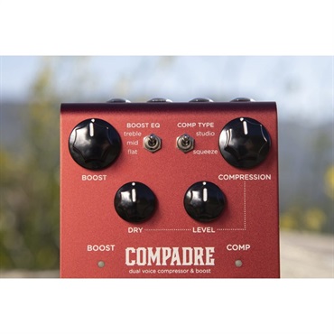 strymon COMPADRE [dual voice compressor & boost]（ストライモン）コンプレッサー 画像3