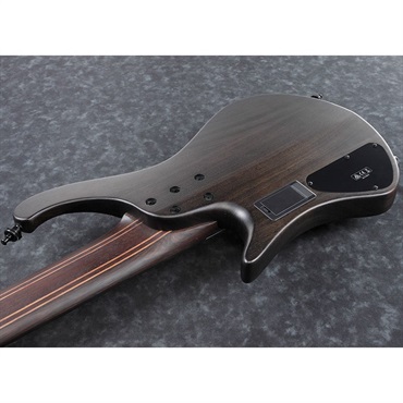 Ibanez Bass Workshop EHB1506MS-BIF 画像3