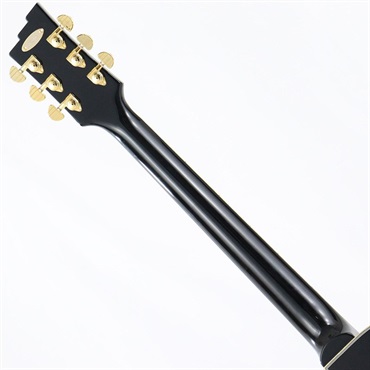 Duesenberg DTV-PC-BK Starplayer TV Phonic (Black) 【旧価格品】 画像6