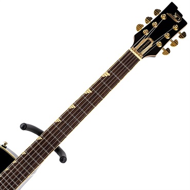Duesenberg DTV-PC-BK Starplayer TV Phonic (Black) 画像5