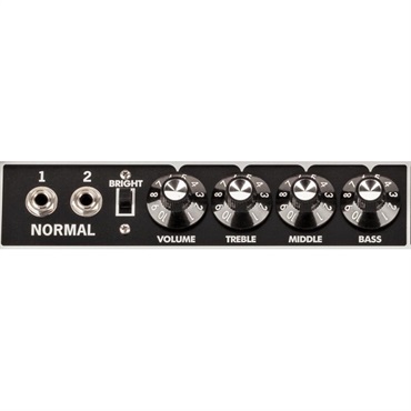 Fender USA 【WEB限定在庫処分セール】Tone Master Twin Reverb [Blonde Edition]（アンプ コンボ フェンダー） 画像2