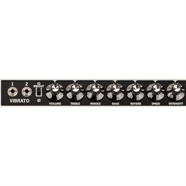 Fender USA 【WEB限定在庫処分セール】Tone Master Twin Reverb [Blonde Edition]（アンプ コンボ フェンダー） 画像3