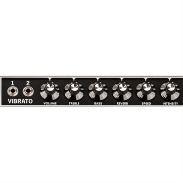 Fender USA 【WEB限定在庫処分セール】Tone Master Deluxe Reverb [Blonde Edition]（アンプ コンボ フェンダー） 画像4