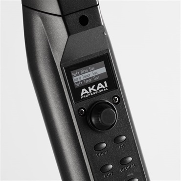 AKAI アカイプロフェッショナル ウインドシンセサイザー EWI SOLO 画像4
