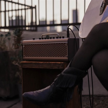 YAMAHA THR30 II A Wireless + Relay G10TII/ワイヤレスセット（ヤマハ） 画像9