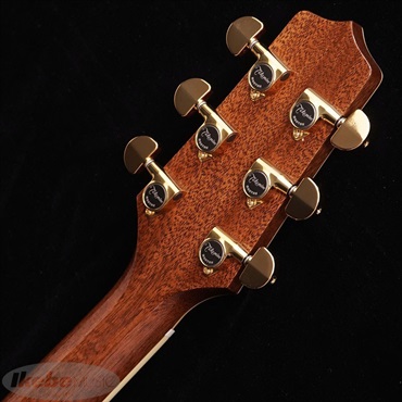 TAKAMINE DMP761C TB 【お取り寄せ商品】 タカミネ 画像6