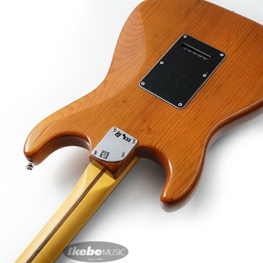 Fender USA American Professional II Stratocaster (Roasted Pine /Rosewood) 【The Spring Summer 2026 Campaign】 画像6