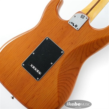 Fender USA American Professional II Stratocaster (Roasted Pine /Rosewood) 【The Spring Summer 2026 Campaign】 画像7