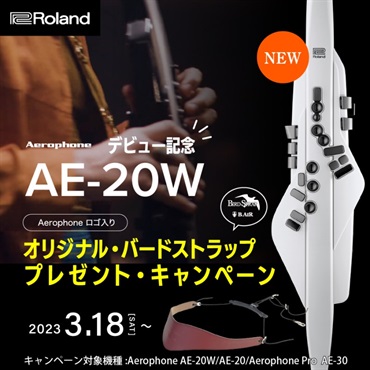 Roland Aerophone Pro [AE-30] 画像8