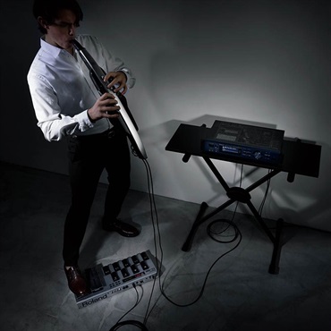 Roland Aerophone Pro [AE-30] 画像9