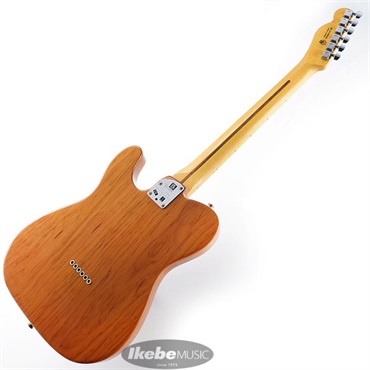 Fender USA American Professional II Telecaster (Roasted Pine/Maple) 【The Spring Summer 2026 Campaign】 画像2