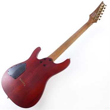 Ibanez SEW761FM-NTF 画像2