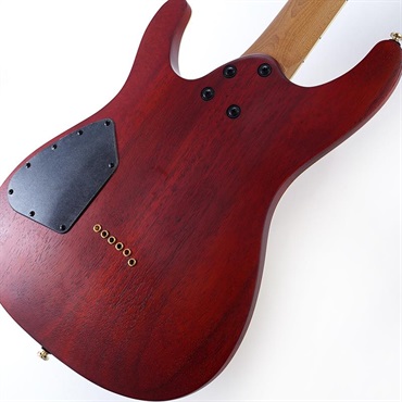 Ibanez SEW761FM-NTF 画像7