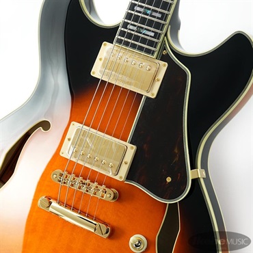 Ibanez ARTSTAR AS2000-BS 画像3