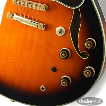 Ibanez ARTSTAR AS2000-BS 画像4