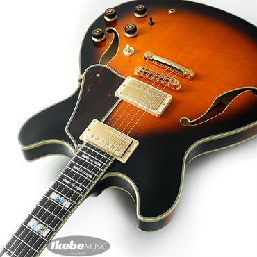 Ibanez ARTSTAR AS2000-BS 画像5