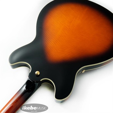 Ibanez ARTSTAR AS2000-BS 画像6