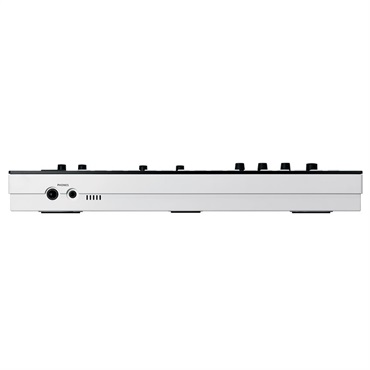 Roland 【夏のボーナスセール】VERSELAB MV-1 ローランド 画像4