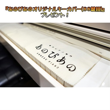 Roland F701-LA（ライトオーク調仕上げ）(当店限定・3年保証)(豪華特典付き)(古い電子ピアノ無料引取)(全国配送設置無料/沖縄・離島除く)(電子ピアノ) 画像9