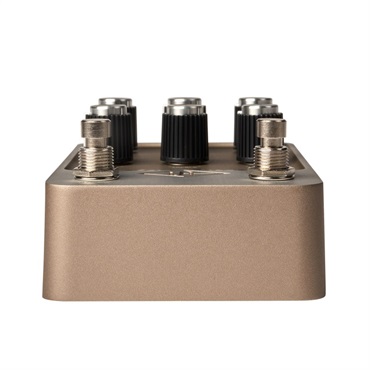 Universal Audio 【夏先取り大特価セール】【特別価格プロモーション】UAFX Golden Reverberator（ユニバーサルオーディオ）リバーブ 画像2