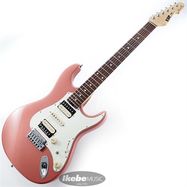 ESP SNAPPER Fujioka Custom (Vintage Burgundy Mist) [藤岡幹大 Model] 画像1