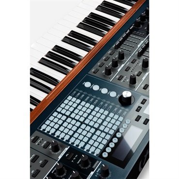 Arturia POLYBRUTE【※沖縄、一部離島へのお届けは送料別途お見積り】【代引き不可】 画像2