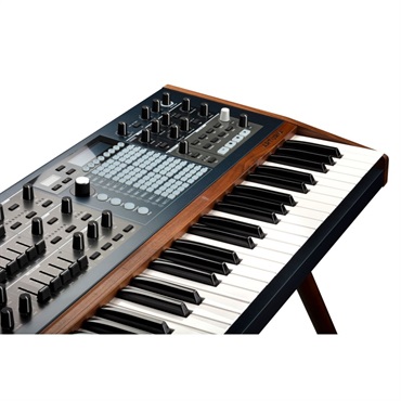 Arturia POLYBRUTE【※沖縄、一部離島へのお届けは送料別途お見積り】【代引き不可】 画像3